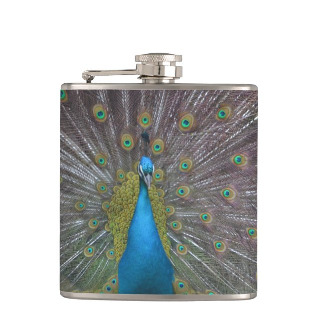 Petaca Impresionante pavo real (Anverso)