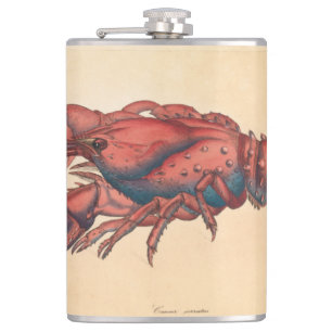 Petaca James Sowerby Serrate Lobster