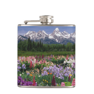 Petaca Jardín de Iris y Lupino y cordillera Teton,