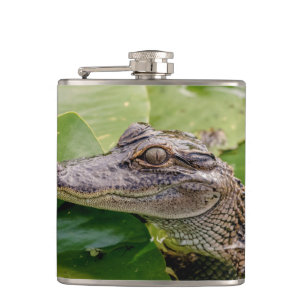 Petaca Joven lagarto