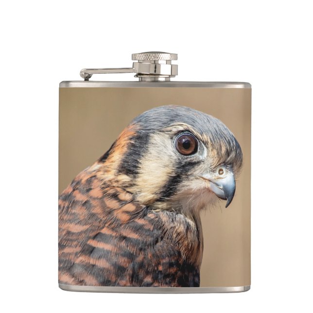Petaca Kestrel americano (Anverso)