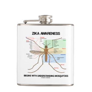 Petaca La conciencia de Zika comienza a entender