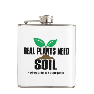 Petaca Las Plantas Reales Necesitan Hidroponic Del Suelo 