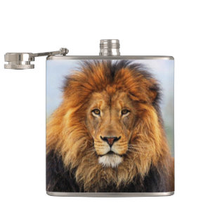 Petaca León africano 1