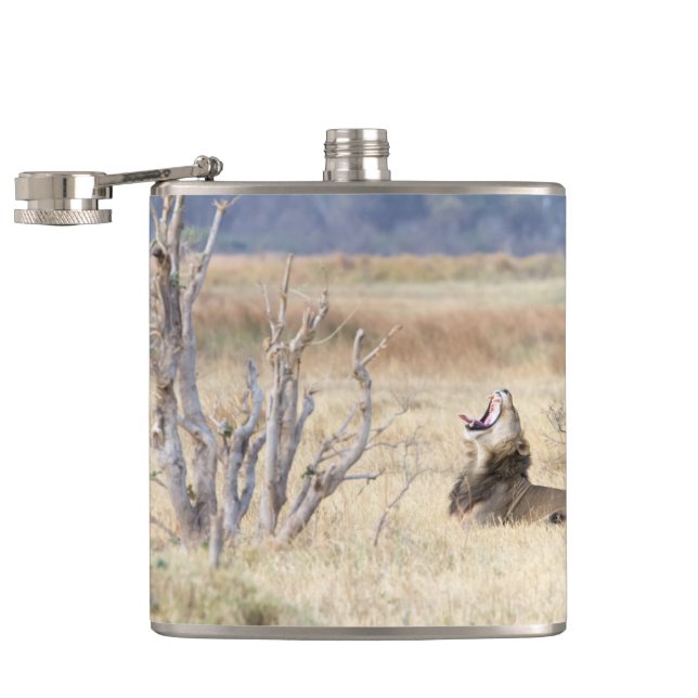 Petaca León de Yawning (Abierto)