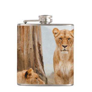 Petaca Leones