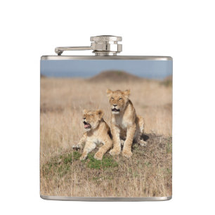 Petaca Leones jóvenes