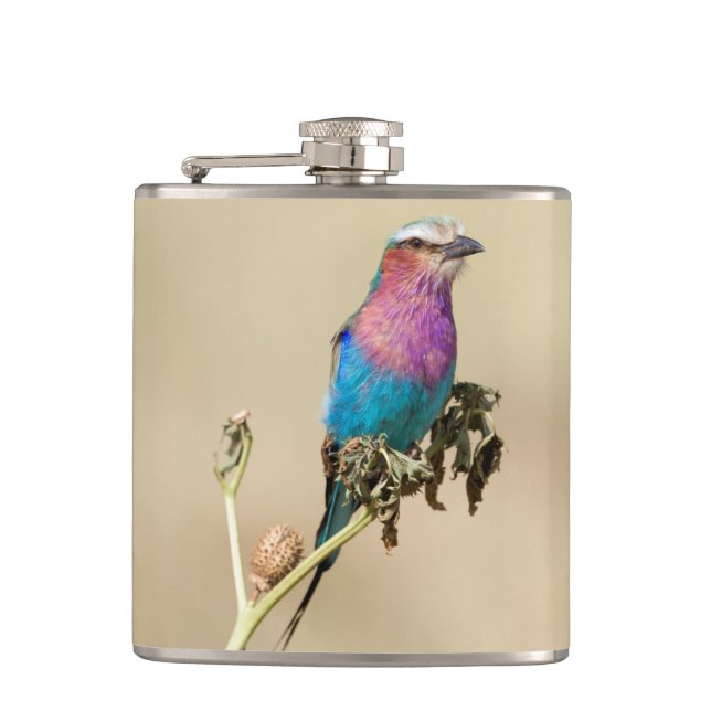 Petaca Lilac pechuga (Anverso)