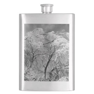 Petaca los árboles llevan invierno