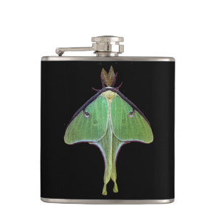 Petaca Luna Moth