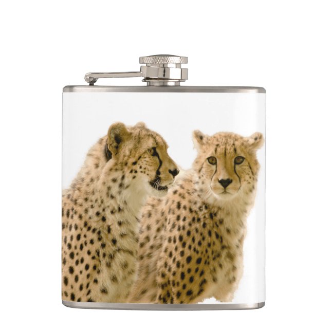 Petaca Magnífica foto de un lindo gato (Anverso)