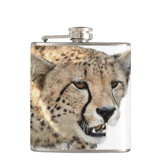 Petaca Magnífica foto de un lindo gato (Anverso)