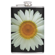 Margarita blanca del verano en negro