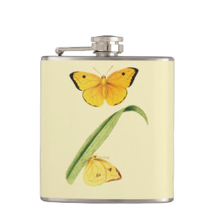 Petaca Mariposa Colias de Godart