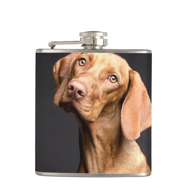 Petaca Mascota Brown Beagle Dog (Anverso)