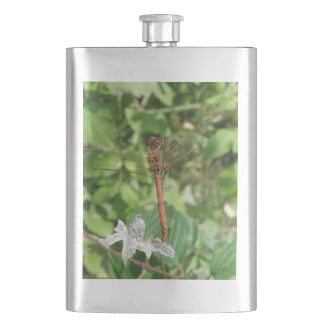 Petaca Matraz común de la libélula negra (Anverso)