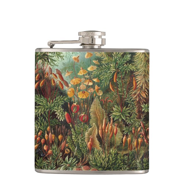 Petaca Muscinae vintage, Moss Plants de Ernst Haeckel (Anverso)