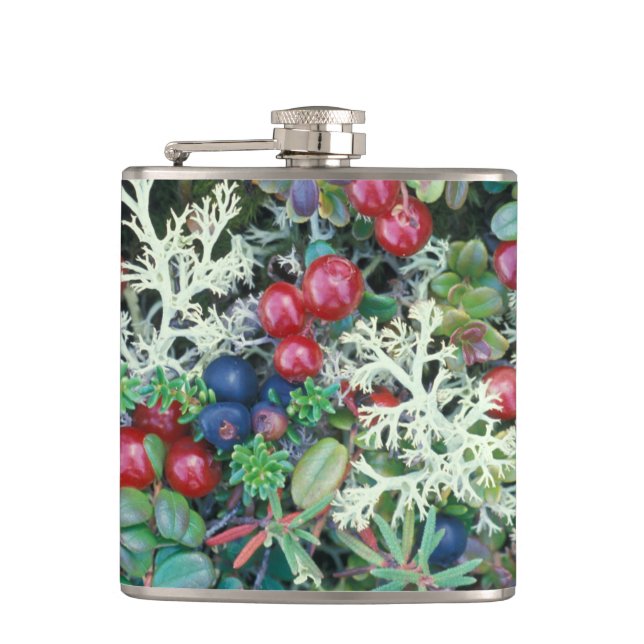 Petaca Norteamérica, Estados Unidos, Alaska, Paisaje, bay (Anverso)