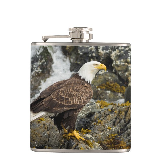 Petaca Orgulloso Bald Eagle (Anverso)