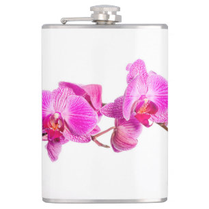 Petaca Orquídea