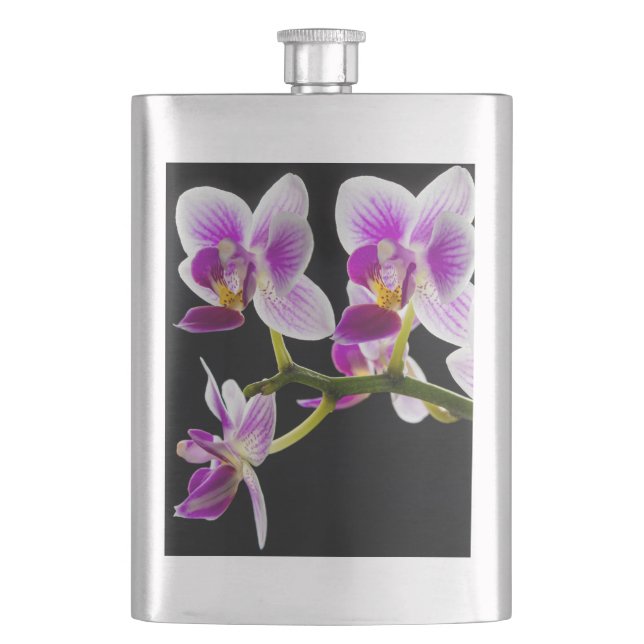 Petaca Orquídea blanca y púrpura (Anverso)