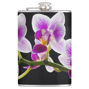 Petaca Orquídea blanca y púrpura