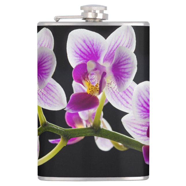 Petaca Orquídea blanca y púrpura (Anverso)