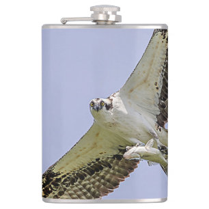 Petaca Osprey con un pez