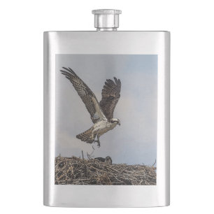 Petaca Osprey en una jerarquía