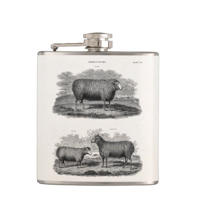 Petaca Ovejas retras de los animales del campo de la (Anverso)