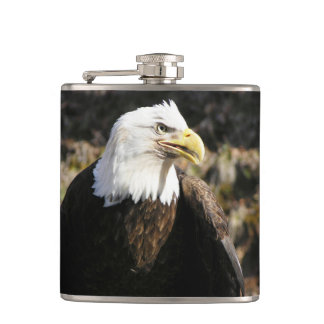 Petaca Pájaro de Eagle calvo