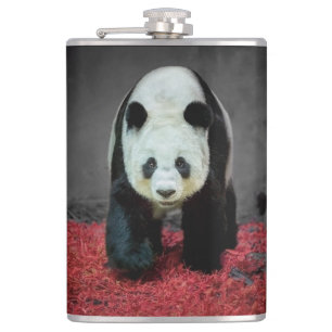 Petaca Panda Bear