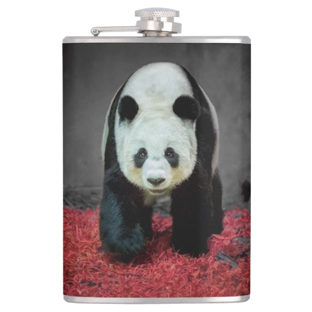 Petaca Panda Bear (Anverso)