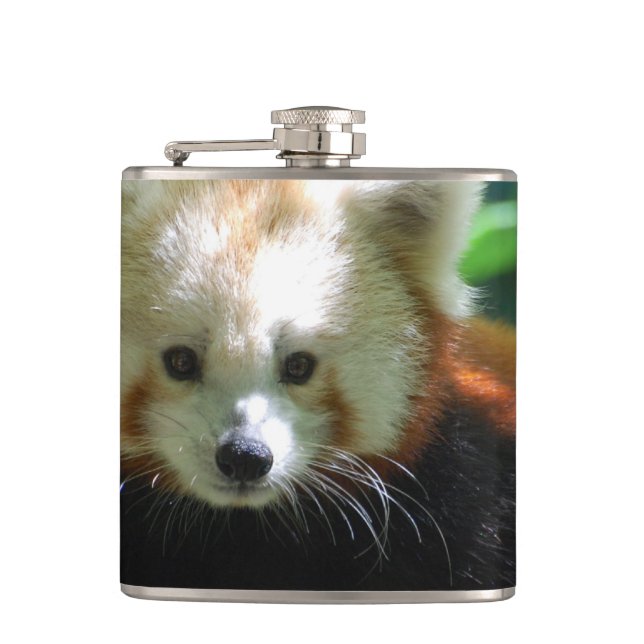 Petaca Panda roja adorable (Anverso)