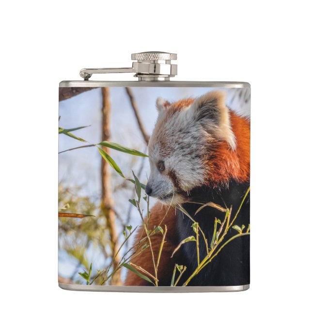 Petaca Panda rojo (Anverso)