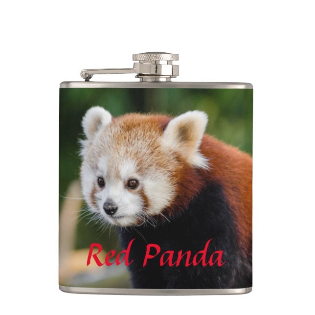 Petaca Panda rojo salvaje (Anverso)