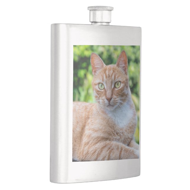 Petaca Pequeño gatito dulce (Derecha)
