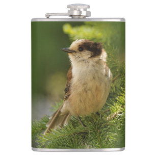 Petaca Perfil de un Jay Gray/Whiskeyjack lindo