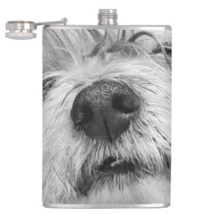 Petaca Perro Coton de Tulear