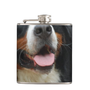 Petaca Perro de montaña de Bernese del bebé