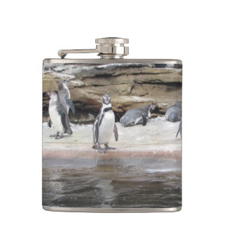 Petaca Pingüinos en las rocas