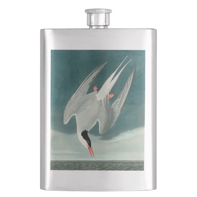 Petaca Pintado de vida silvestre del Ártico Tern Audubon (Anverso)