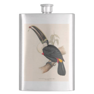 Petaca Pintura de vida silvestre de aves antiguas de Touc