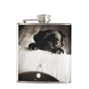 Petaca pug asomándose en bw