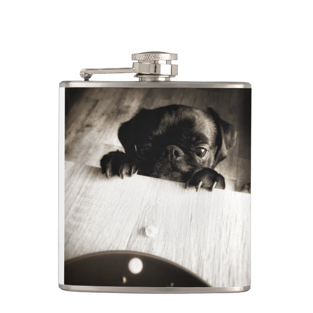 Petaca pug asomándose en bw (Anverso)
