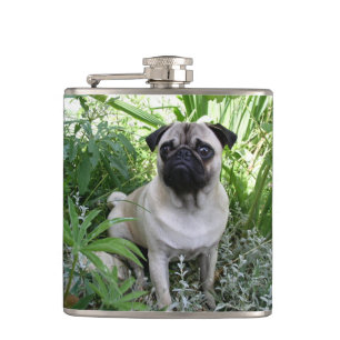 Petaca pug sentado