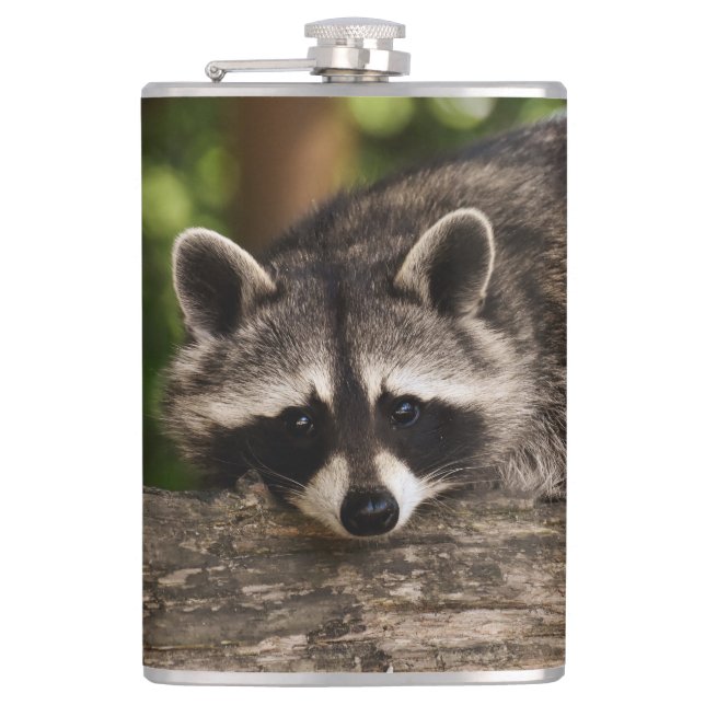 Petaca Raccoon (Anverso)
