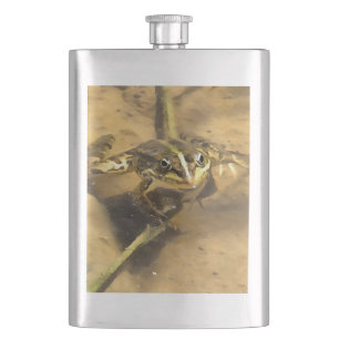 Petaca Rana De Marsh Inmersa En Pintura De Agua Del Río
