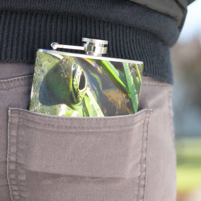 Petaca Rana verde (In Situ)