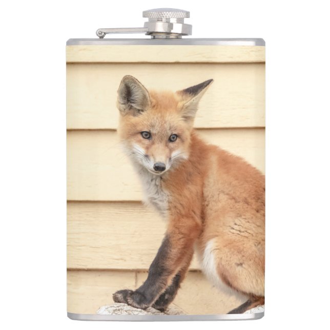 Petaca Red Fox Kit en el Valle de Hudson (Anverso)